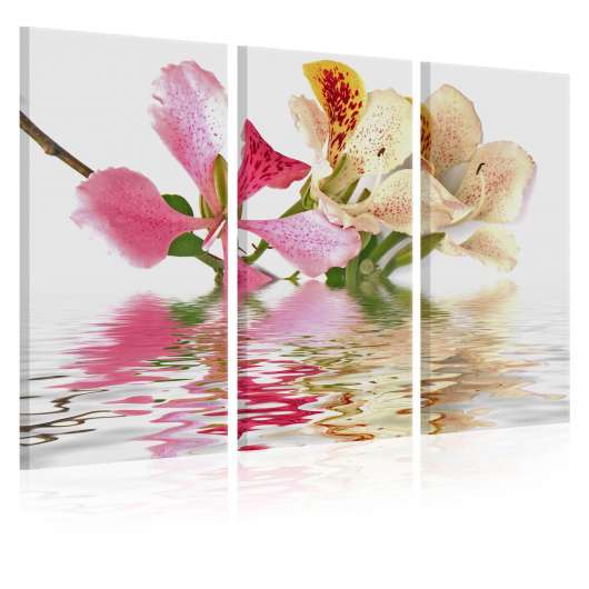 Canvas Tavla - Orchid with colorful spots - 120x80