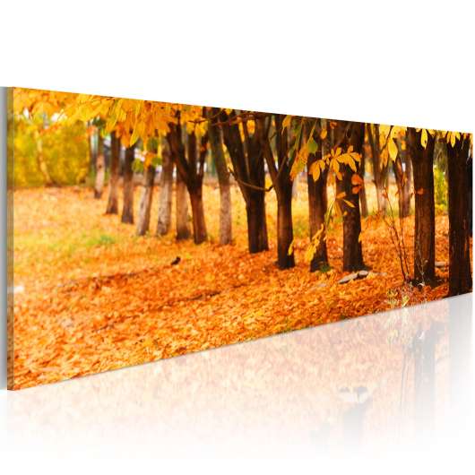Canvas Tavla - Park covered with golden leaves - 120x40