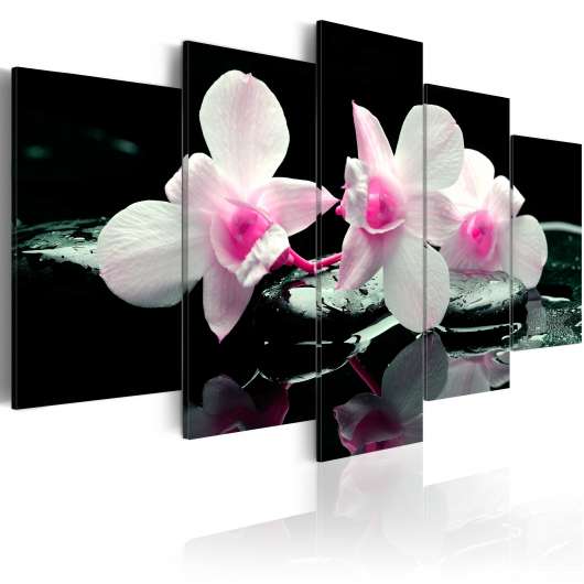 Canvas Tavla - Rest of orchids - 200x100