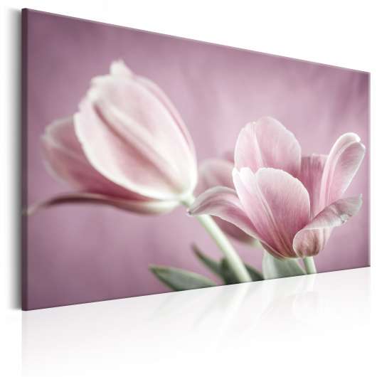 Canvas Tavla - Romantic Tulips - 120x80