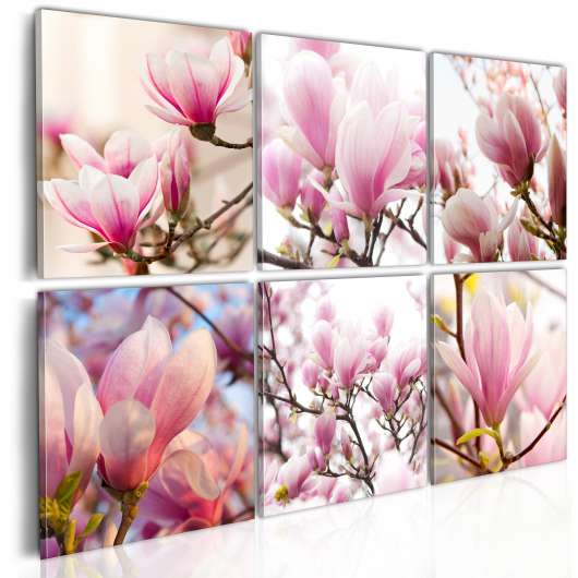 Canvas Tavla - Southern magnolias - 120x80