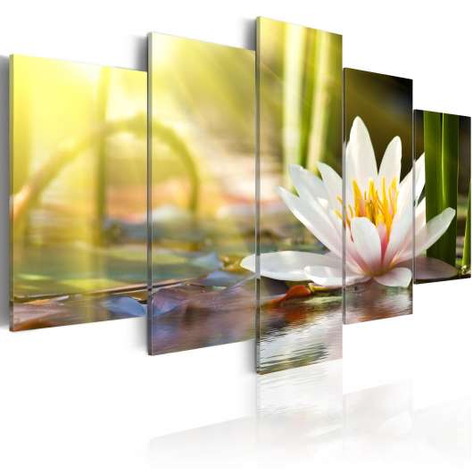 Canvas Tavla - Sunny Lotus - 200x100