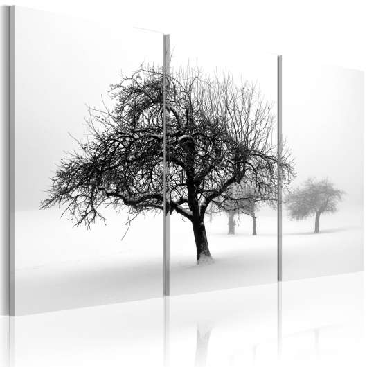 Canvas Tavla - Trees submerged in white - 90x60