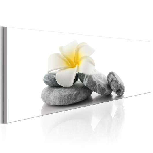 Canvas Tavla - White Lotus - 150x50