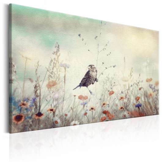 Canvas Tavla - Wild Meadow - 120x80