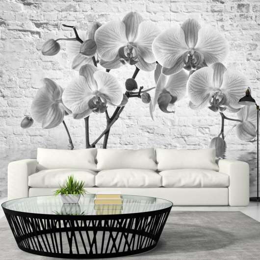 Fototapet - Orchid in Shades of Gray - 200x140
