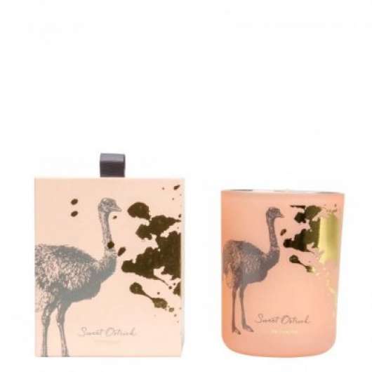 Scented Bird Collection Pink | Doftljus