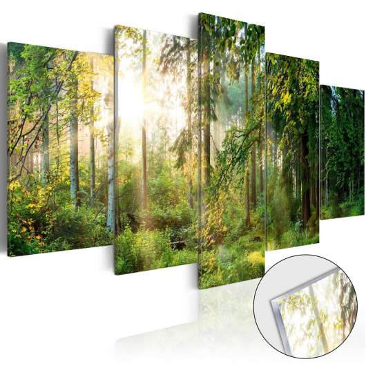 Tavla i akrylglas - Green Sanctuary - 200x100